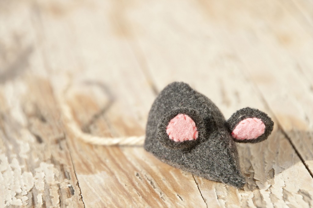 Wool mouse